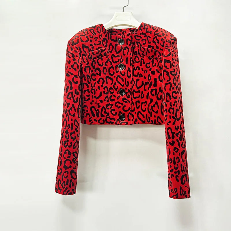 Two Piece Leopard Set