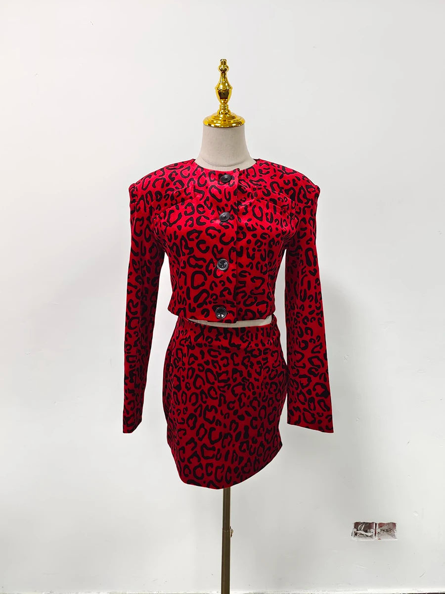 Two Piece Leopard Set