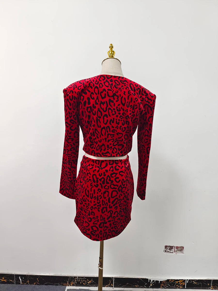 Two Piece Leopard Set