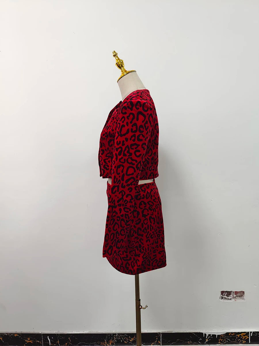 Two Piece Leopard Set