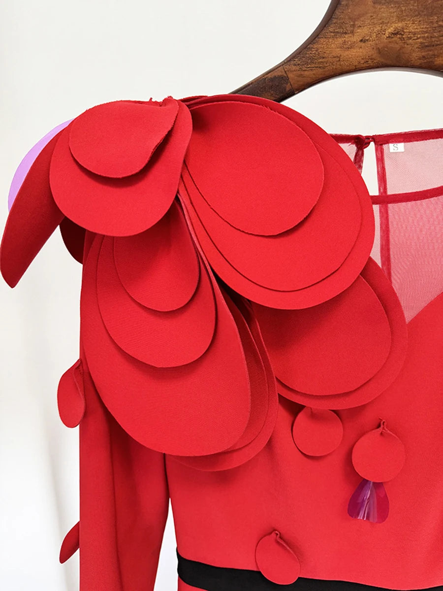 Appliqués Dresses