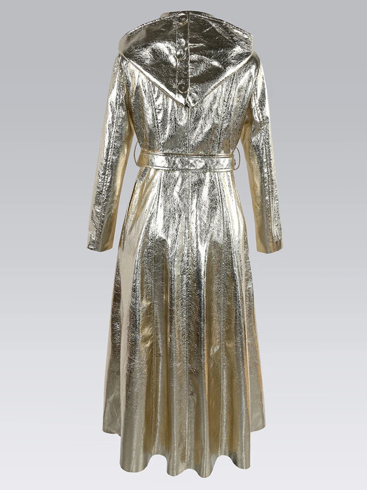 Long and Shiny Overcoat