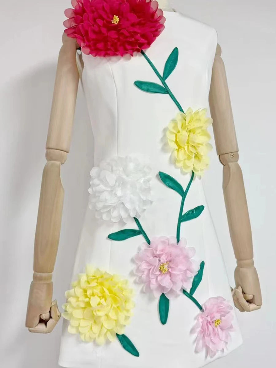 Hit Color Appliqué Dress
