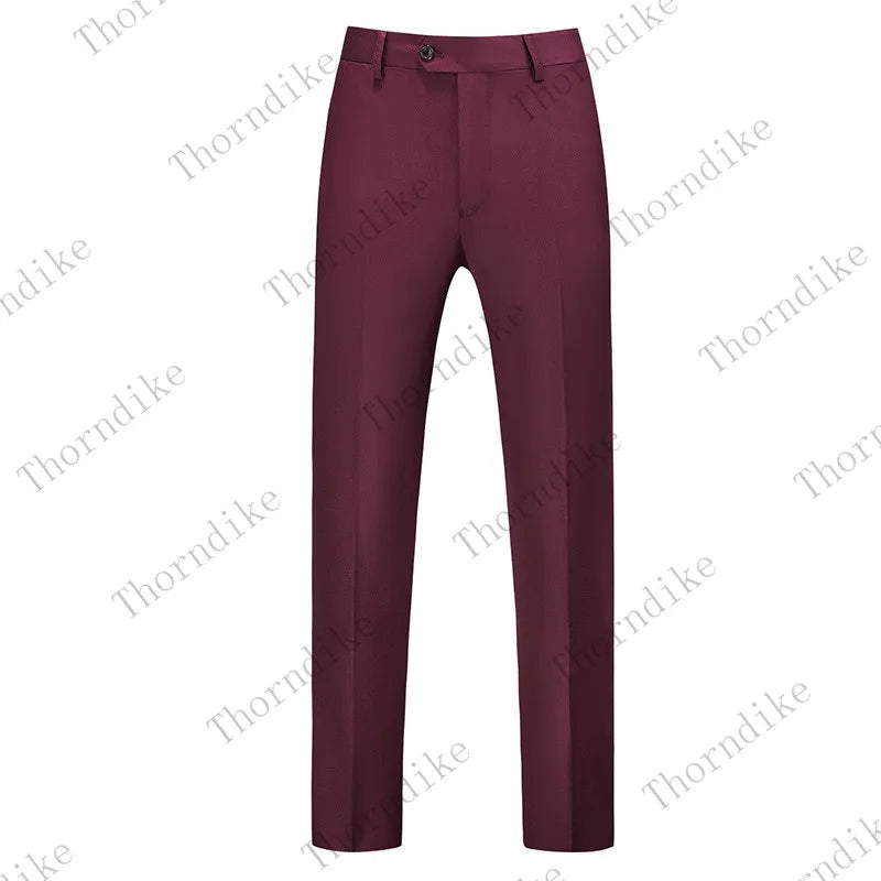 Men Dress Pants