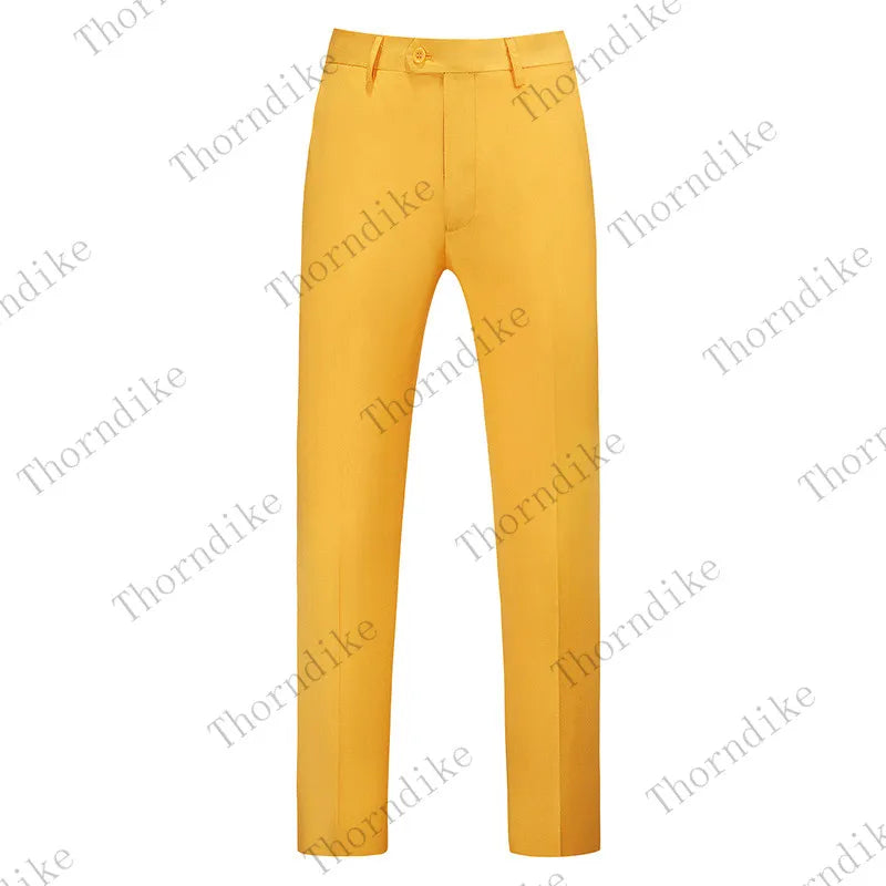 Men Dress Pants
