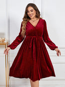Plus Size Red Velvet Shiny Dresses