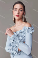 Satin Floral Appliqués Dress
