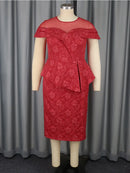 Jacquard Sheer Mesh Dress