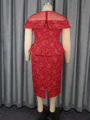 Jacquard Sheer Mesh Dress