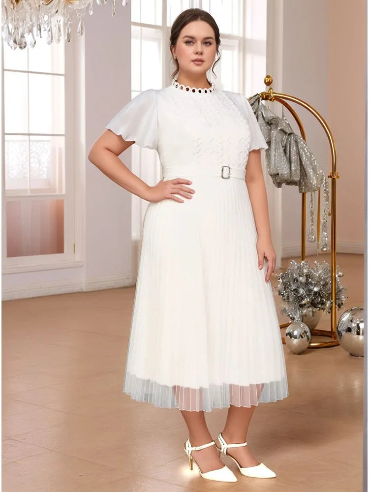 Pleated A Line Plus Size Midi Dress