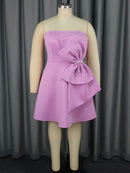 Plus Size Sweet Lavender Strapless  Dress