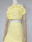 Embroidery Two Piece Ruffles Skirt Sets