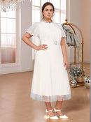 Pleated A Line Plus Size Midi Dress