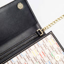 Crossbody Chain Bag