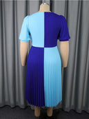 Plus Size A Line Pleated Dress