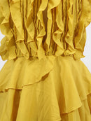 Spliced Ruffles Folds  Dresses